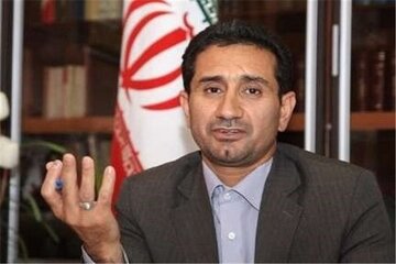 تعزیرات حکومتی در شهرستان‌های کرمان کمبود نیروی انسانی دارد