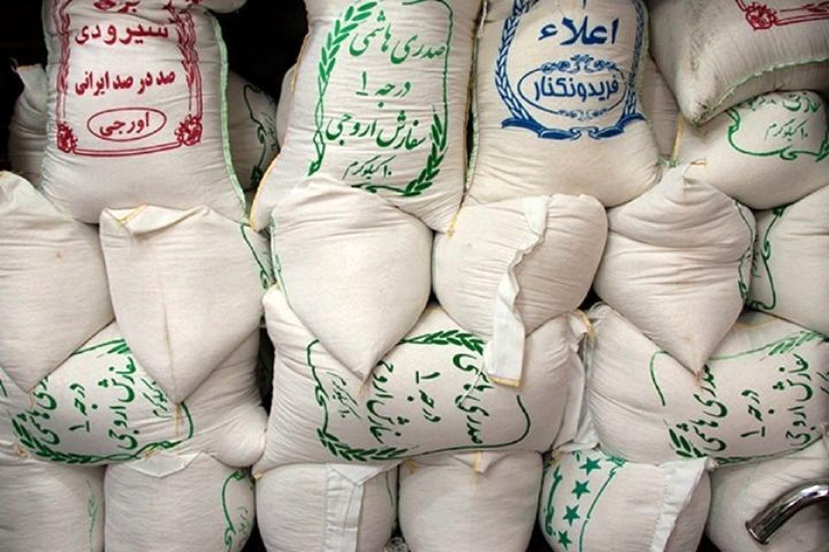 لیست قیمت برنج ایرانی شمال / هاشمی درجه یک کیلویی چند؟ + جدول