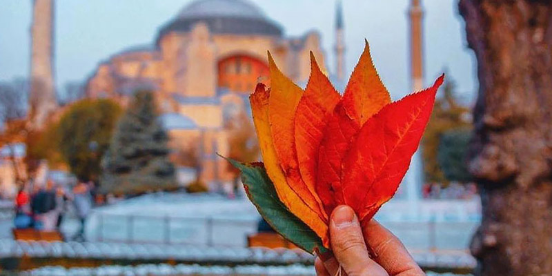 سفر زمینی به وان در پاییز