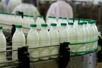 Iran’s Export of Dairy Products Up 65%: FAO