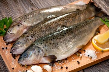 ۷ نوع ماهی که حتما باید بخورید + لیست قیمت انواع ماهی