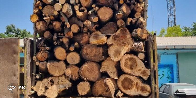 زخم تبر بر تن فسیلهای زنده هیرکانی