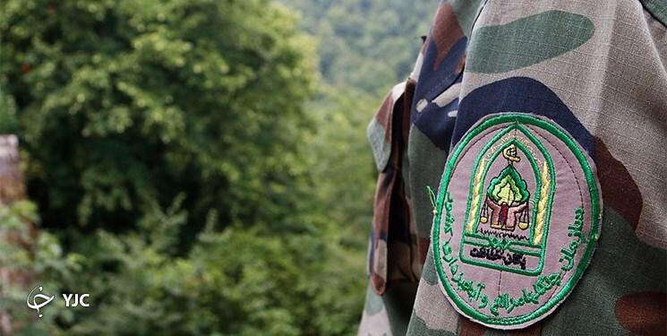 زخم تبر بر تن فسیلهای زنده هیرکانی