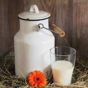 نحوه نگهداری شیر محلی کیلویی ۸۰ هزار تومان در خانه را بلد باشید + لیست قیمت انواع شیر