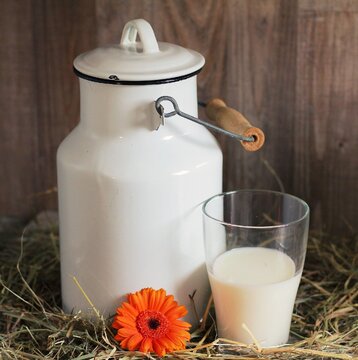 قیمت انواع شیر امروز ۷ آذر ۱۴۰۲ + جدول