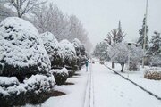 هشدار هواشناسی به تهرانی‌ها / احتمال سیل وجود دارد!