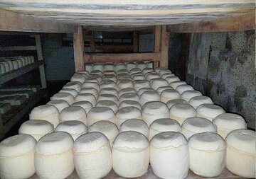 قیمت انواع پنیر امروز ۹آذر ۱۴۰۲ + جدول