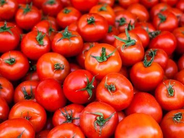 چرا قیمت گوجه فرنگی به ۷۰ هزار تومان رسید؟