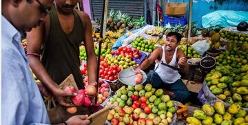 سیب ایرانی در هند کیلویی ۳۰۰۰ تومان!