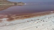 نمک دریاچه مهارلو ۱۰۰ درصد آلوده و غیربهداشتی است