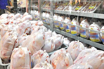 قیمت مرغ امروز ۱۹ فروردین ۱۴۰۳ در بازار