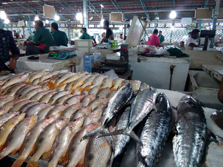 تسلط جالب ماهی‌ فروش اهوازی به زبان انگلیسی! + فیلم