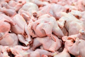 قیمت مرغ امروز ۱ دی ۱۴۰۲ در بازار