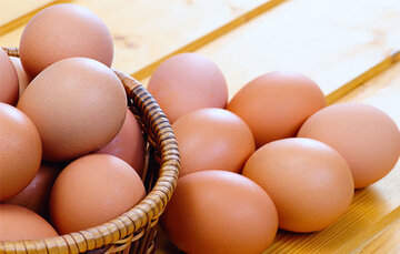 قیمت جدید تخم مرغ بازاری / این بسته تخم مرغ ۵۸ هزار تومان قیمت دارد + جدول