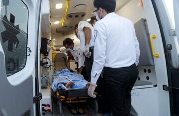 مسمومیت گسترده با قارچ سمی/ ۲۱ نفر راهی بیمارستان شدند