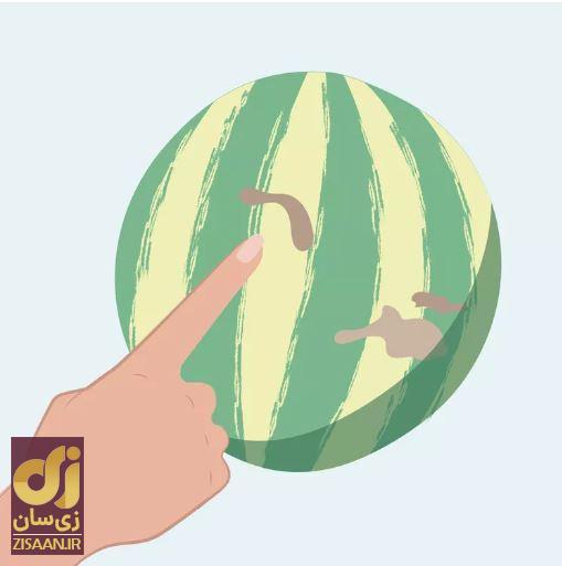 هندوانه خوب را چطور تشخیص دهیم؟ ۸ تکنیک برای انتخاب هندوانه شب یلدا