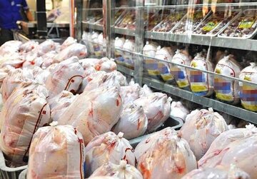 قیمت مرغ امروز ۲۶ دی ۱۴۰۲ در بازار