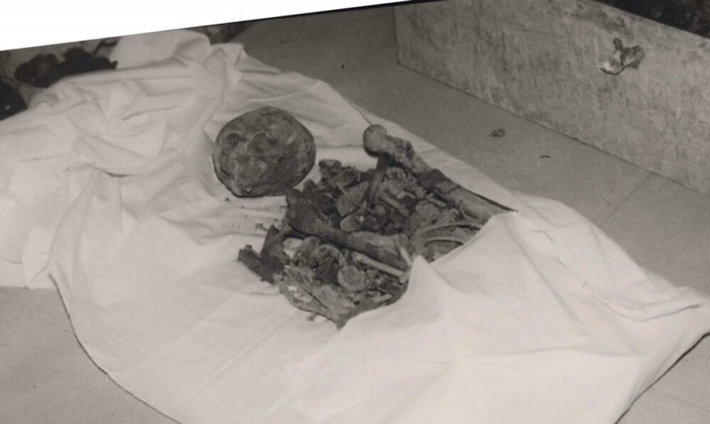 استخوانهای نادرشاه