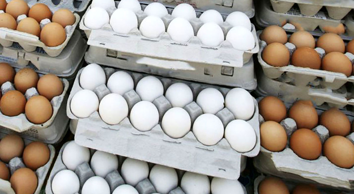 قیمت تخم مرغ در ۱۵ دی ماه اعلام شد + جدول