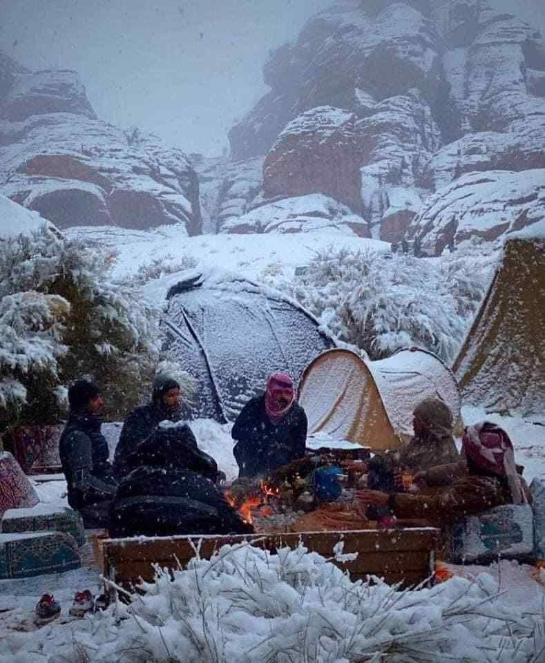 بارش برف در عربستان / شترها زیر برف ماندند! + عکس