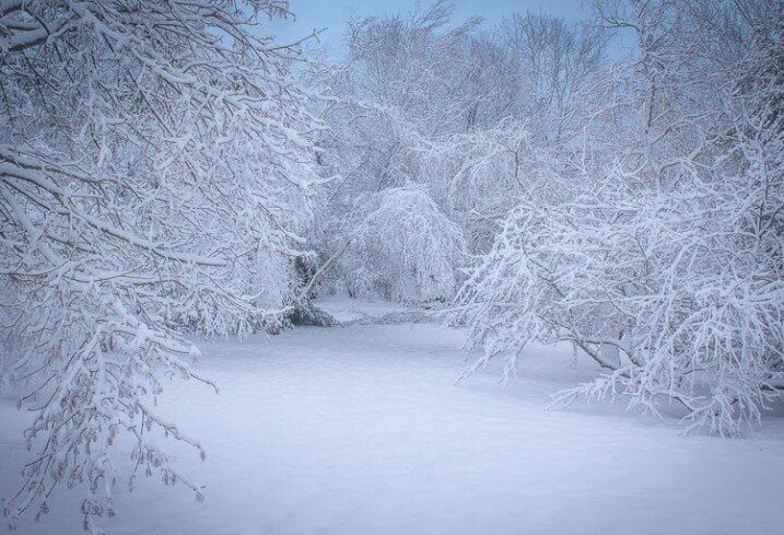 دفن شدن خودروها در برف – مرز سیرانبند شهرستان بانه+ فیلم
