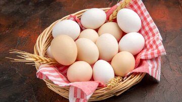 افزایش ۱۴۰ درصدی صادرات تخم مرغ نسبت به سال قبل