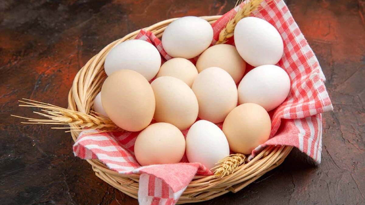 قیمت جدید تخم مرغ در بازار / تخم مرغ محلی ۹ هزار تومان شد + جدول