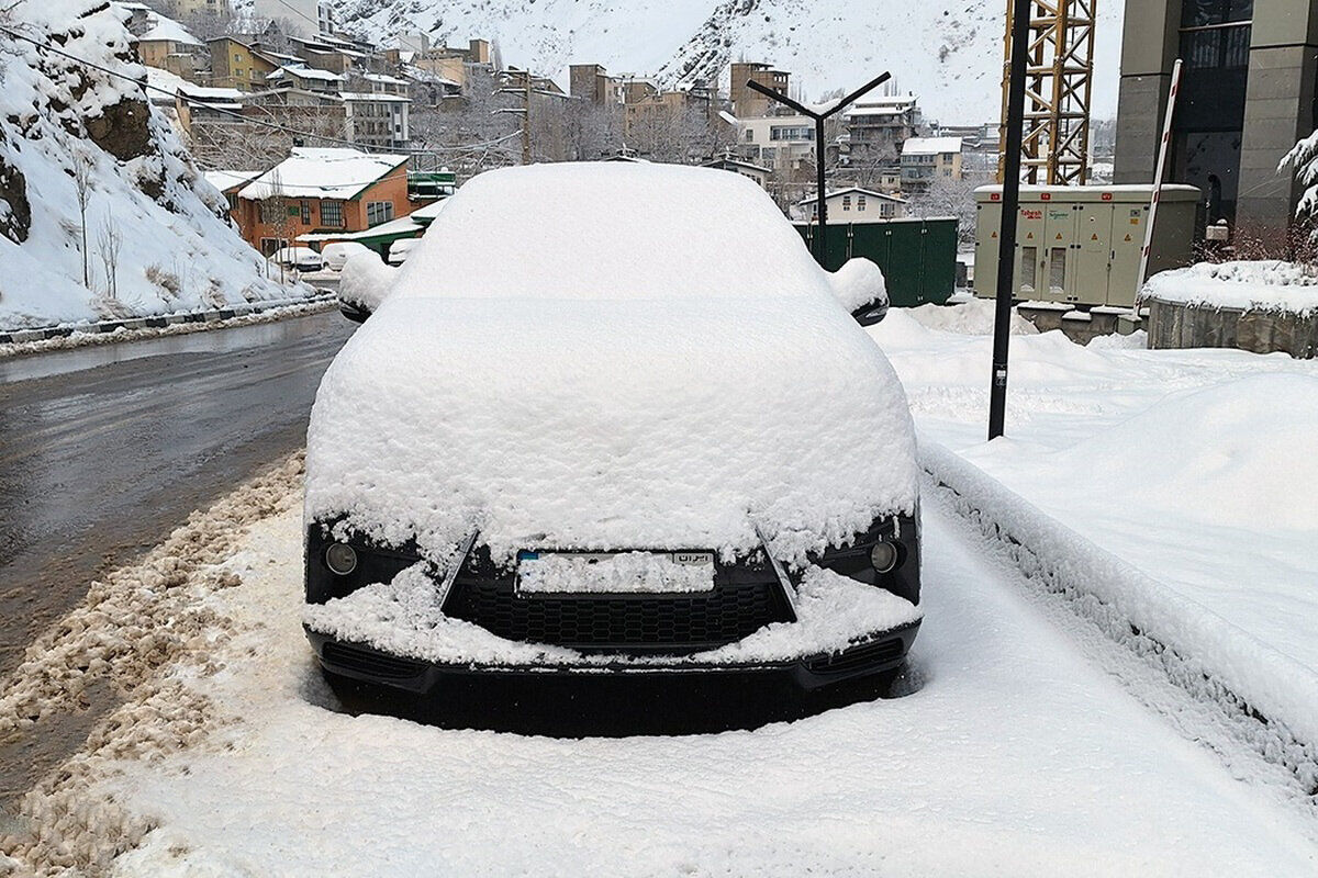 بارش شدید برف در اردبیل / مدارس تعطیل شد + فیلم