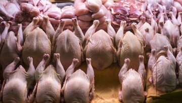 قیمت مرغ امروز ۱۳ اردیبهشت ۱۴۰۳ در بازار