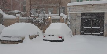 فوری؛ بارش سنگین برف ادارات این استان را تعطیل کرد