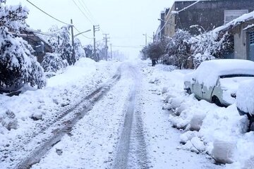 بارش یک متری برف در آستارا  + فیلم