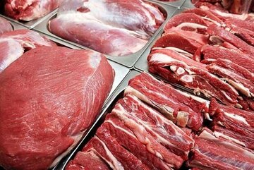 خبر مهم از واردات گوشت؛ قیمت گوشت وارداتی ۲۸۲ هزار تومان شد