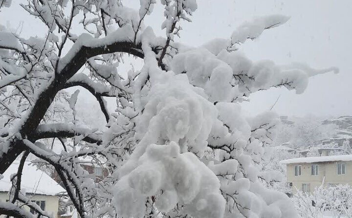 ۳۶ ساعت برف سنگین در تهران!