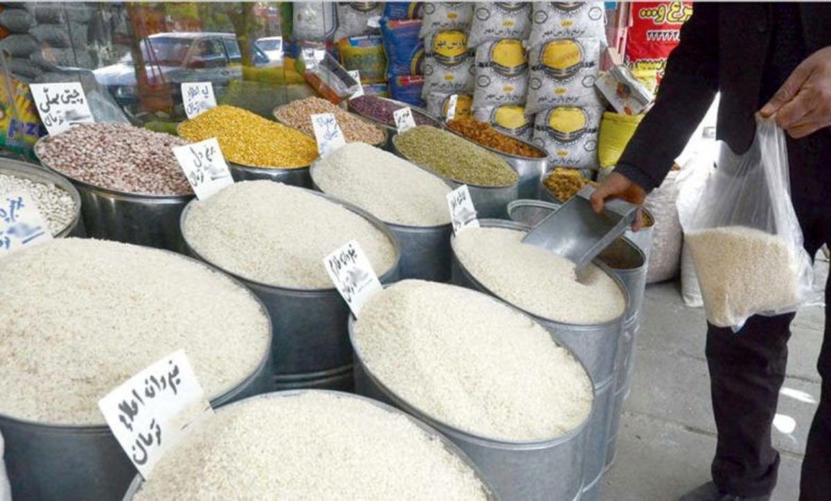 قیمت برنج درجه یک ایرانی ارزان شد