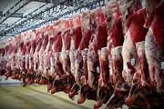 تولید گوشت کاهش یافت