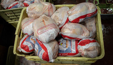 قیمت مرغ امروز ۴ بهمن  ۱۴۰۲ در بازار