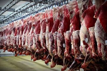 قیمت گوشت گوسفندی  شنبه ۷ بهمن