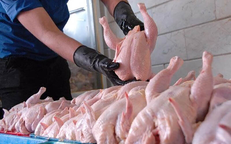 فوری / قیمت مصوب گوشت مرغ اعلام شد