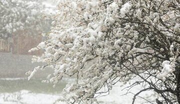 شدت بارش برف در ایران! + فیلم