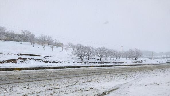 بارش زیبای برف زمستانی در فارسان