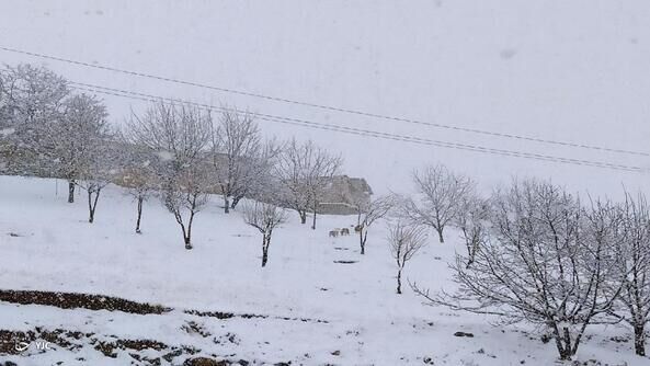 بارش زیبای برف زمستانی در فارسان
