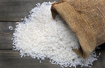 هشدار در مورد افزایش جهانی قیمت برنج
