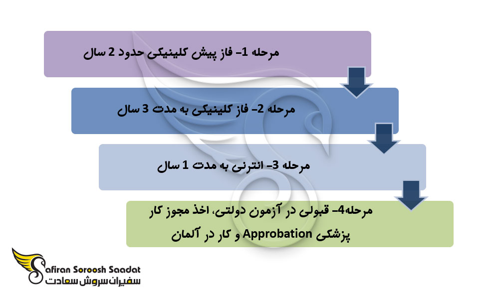 رشته های گروه پزشکی در آلمان در سال ۲۰۲۴