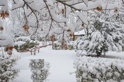 سردترین نقطه ایران، بیخ گوش پایتخت !