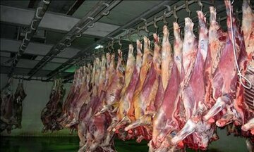قیمت گوشت ارزان می‌شود