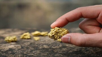 روش عجیب استخراج طلا در افغانستان + فیلم