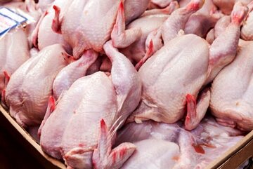 قیمت مرغ امروز ۵ اردیبهشت ۱۴۰۳ در بازار