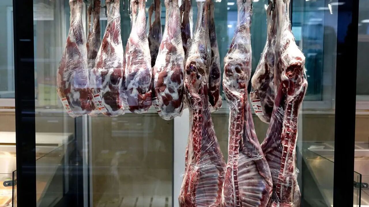 قیمت گوشت ارزان می‌شود؟ / خبر مهم