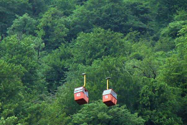 آتشسوزی در تله کابین نمک آبرود