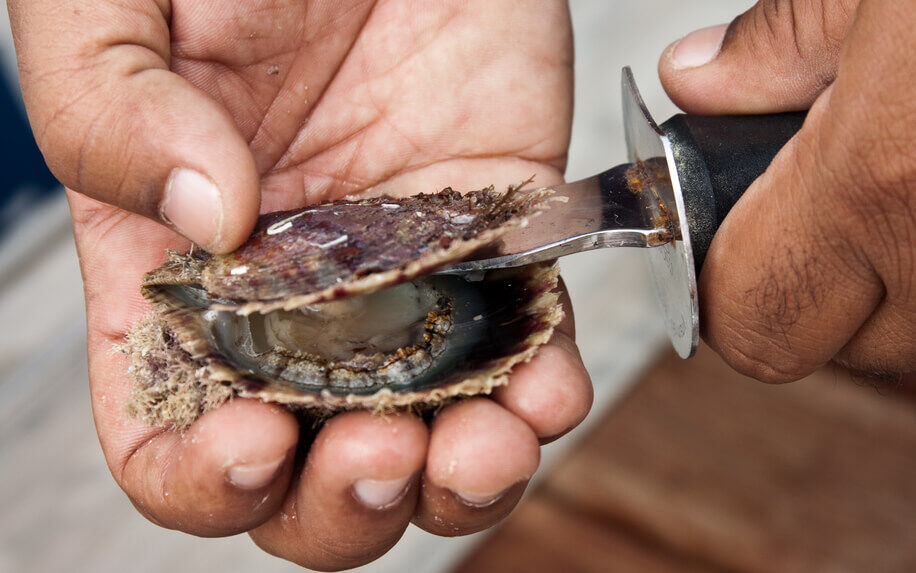 لحظه هیجانانگیز استخراج مروارید از دل صدف